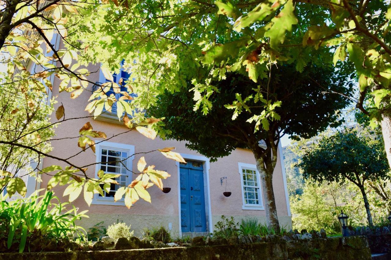 Bed and Breakfast Casa Do Cabeco Caramulo Zewnętrze zdjęcie